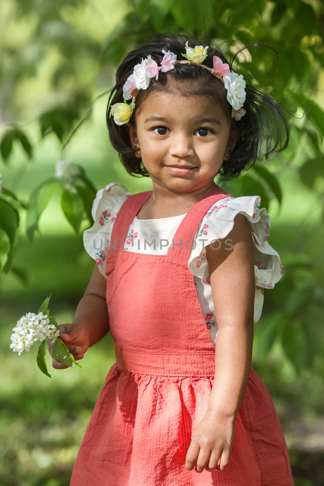 A two years South Asian girl with white flowers of bird cherry
