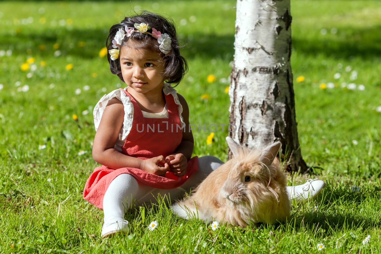 A two years old Asian girl with rabbit is playing in park