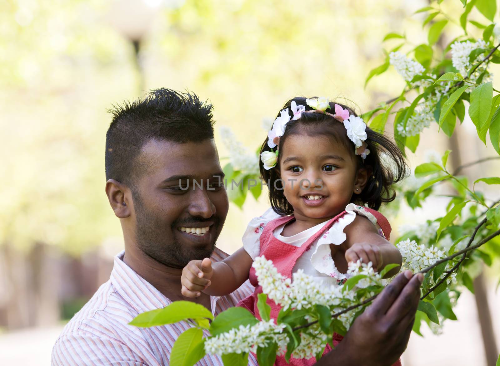 A happy Asian man is walking with his daughter in park at blooming bird cherry tree