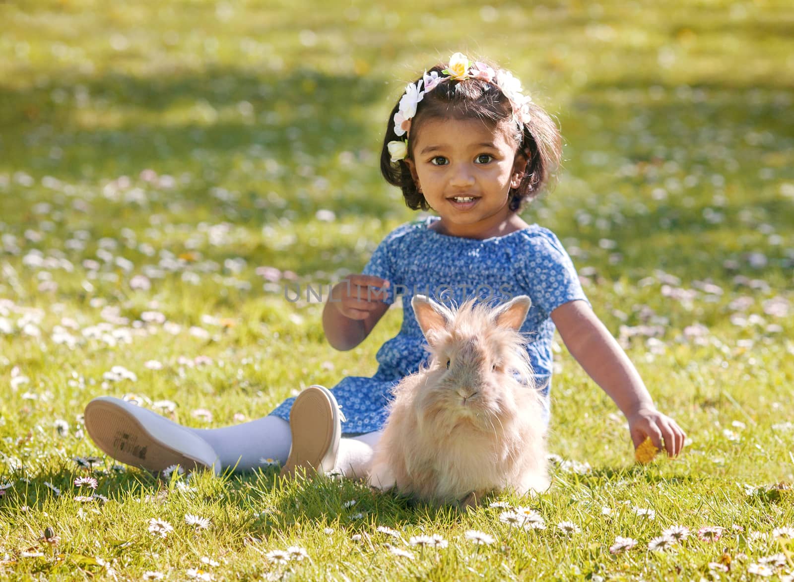 A small Asian girl is sitting with home rabbit on green grass in by anry