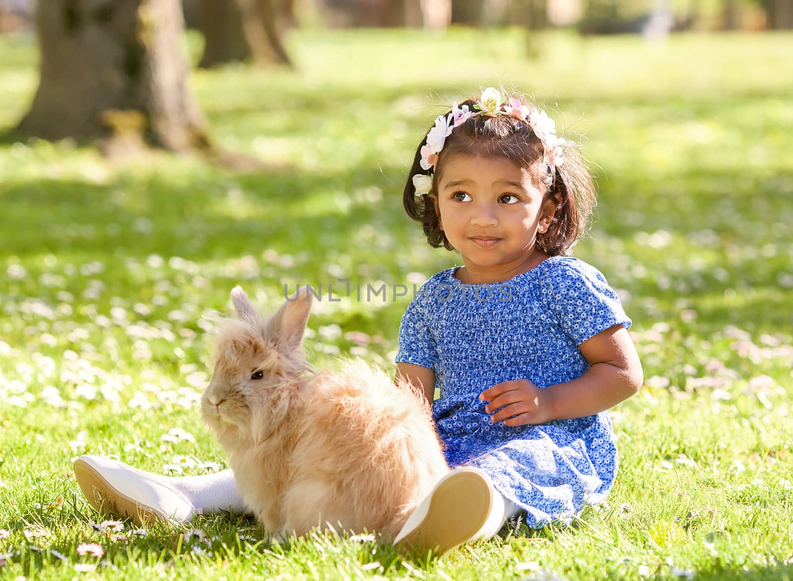 A small girl is sitting with rabbit on green grass in spring park by anry