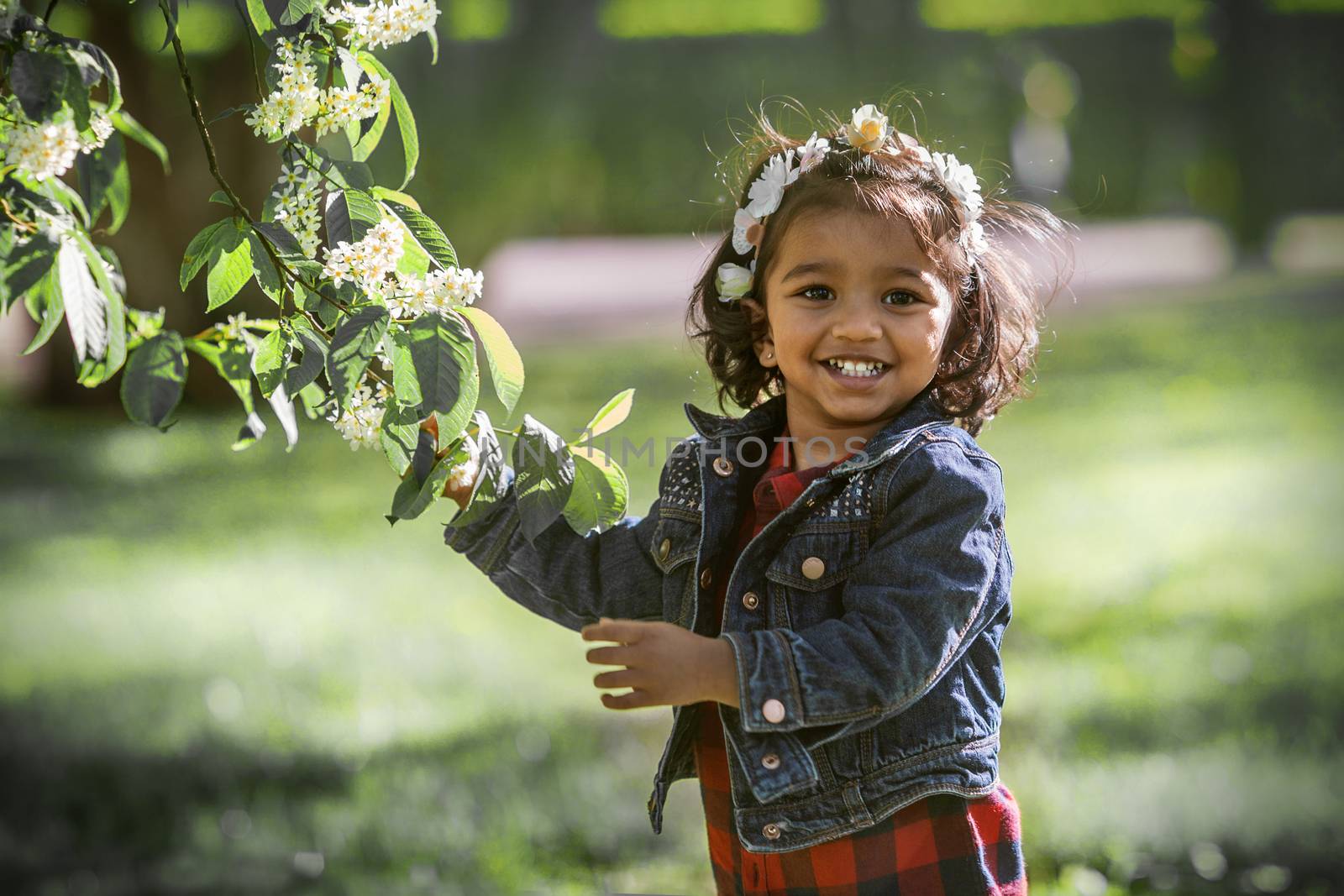 A two years old girl in park at a blooming branch of bird cherry tree by anry