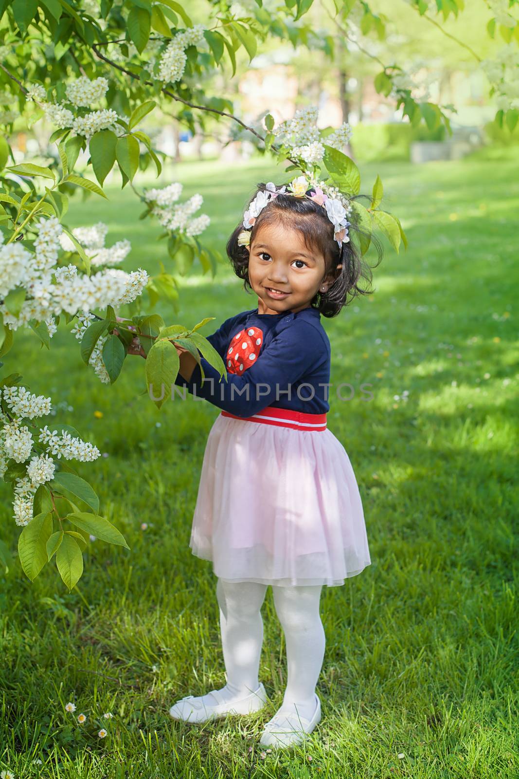 A two years old girl at a blooming branch of bird cherry tree