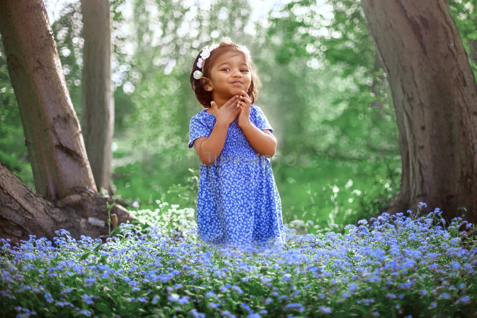 a little swarthy girl among the blue flowers in the Park by anry