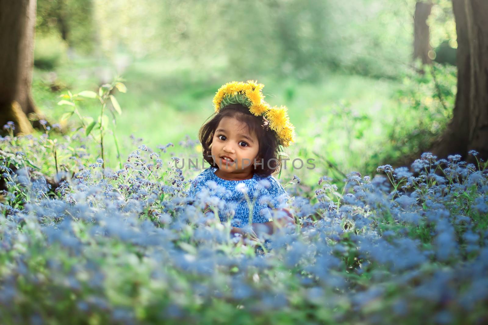 A small girl with dandelion wreath is sitting on field of forget me not blue flowers by anry