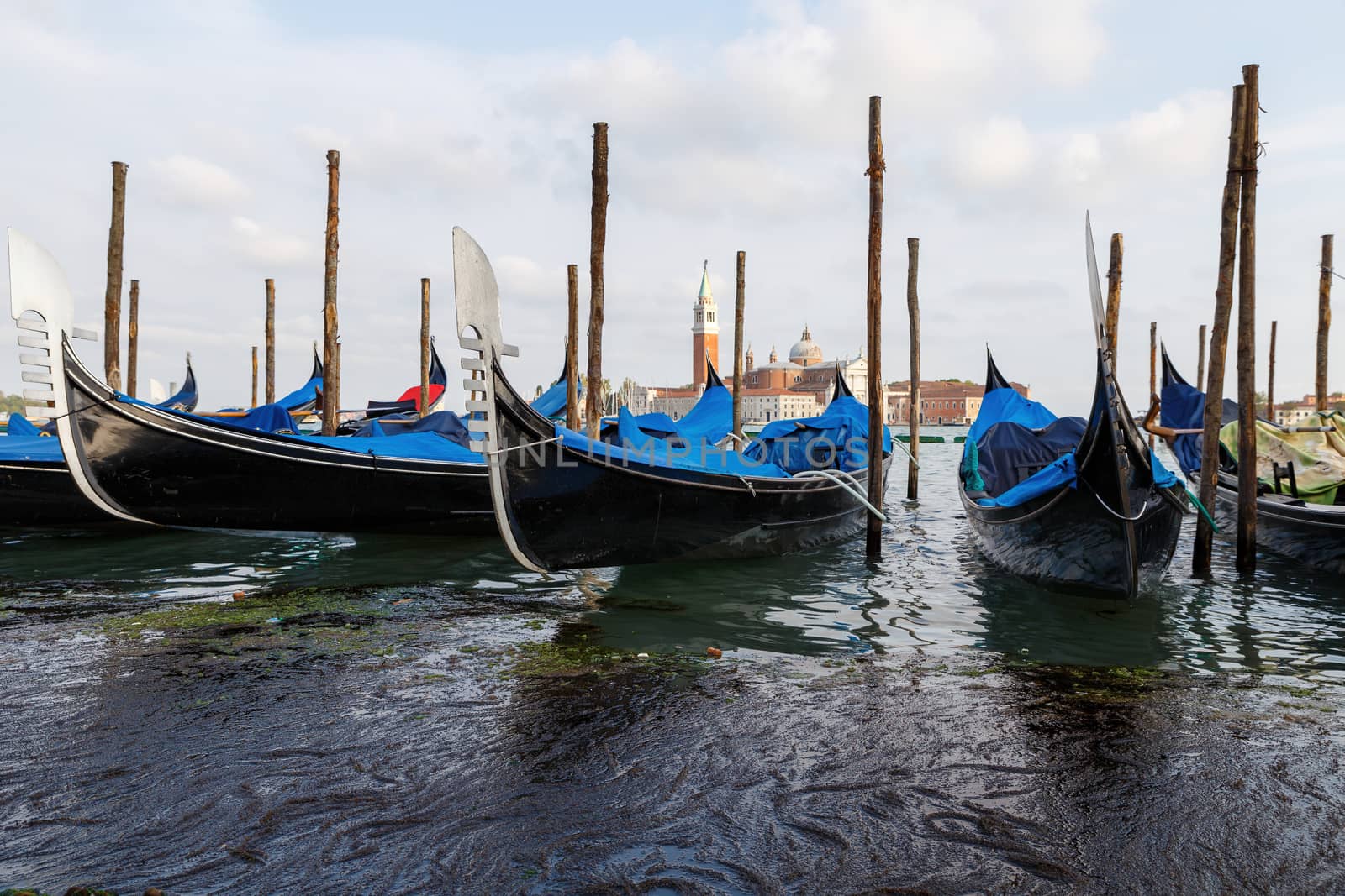 Venice, Italy - CIRCA 2020: View of empty gondolas on a water canal in Venice Italy. Concept of the effects of lock down due to CoronaVirus COVID-19. Picturesque landscape. by dugulan