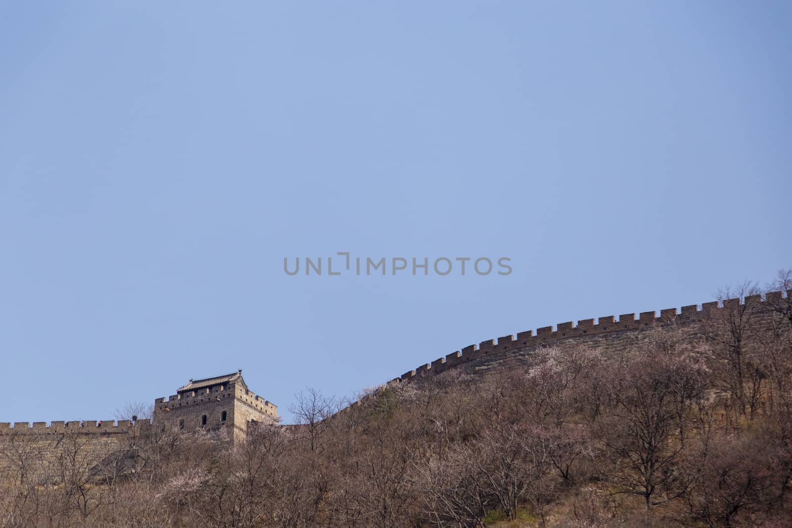 Beijing, China - CIRCA 2020: Great Wall of China in a green forest landscape at Mutianyu in Huairou District near Beijing, China. Autumn view of Grate Wall of China