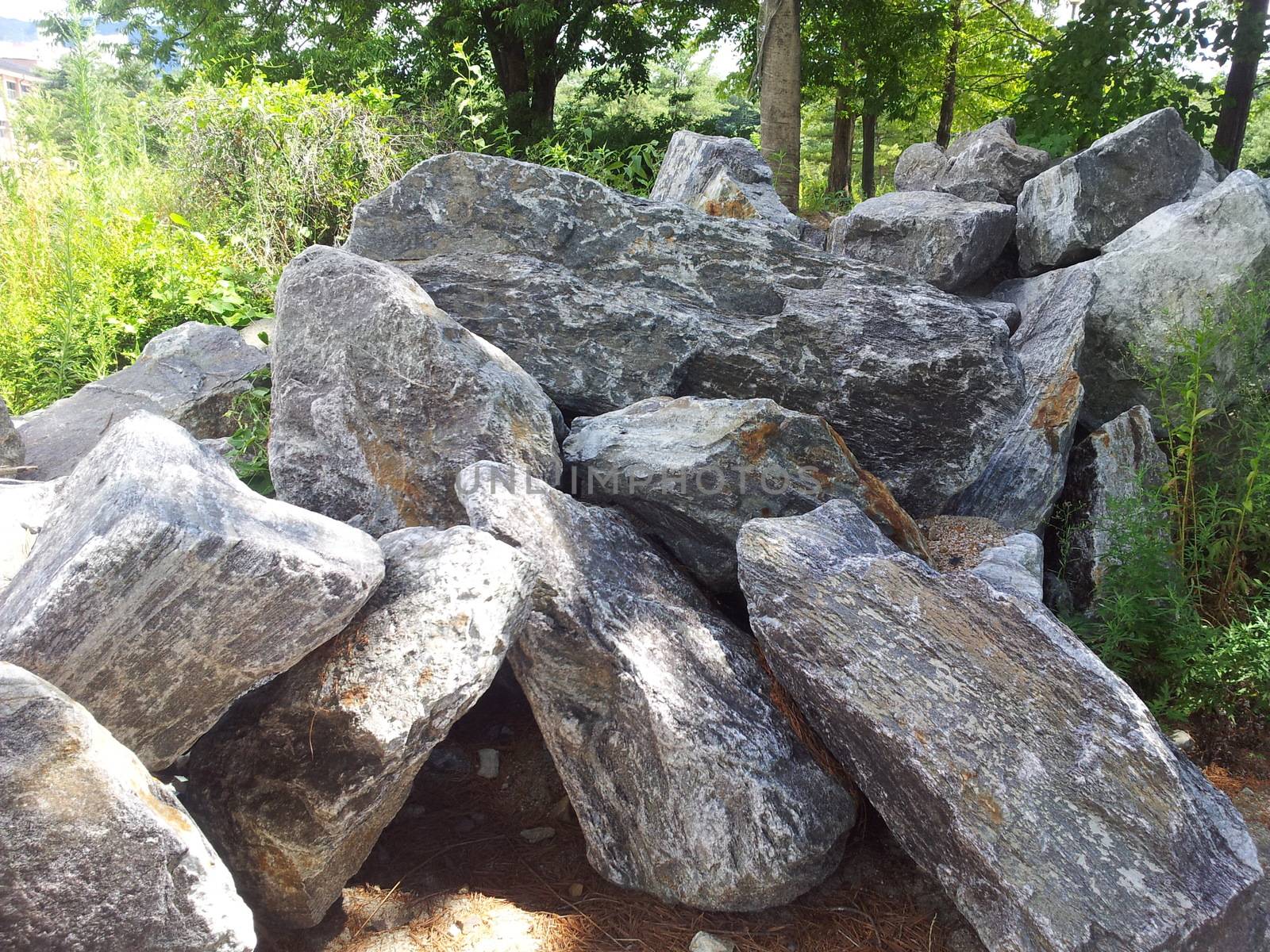 Large stones or rock settled in between green trees in a public park by Photochowk