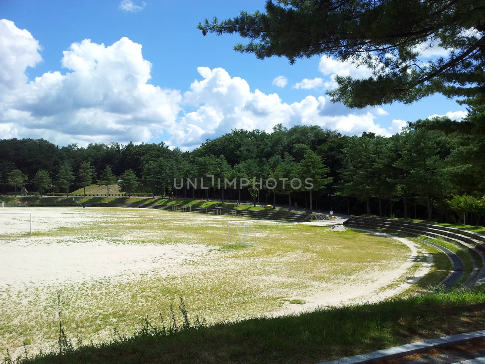 Green trees in park in autumn season by Photochowk