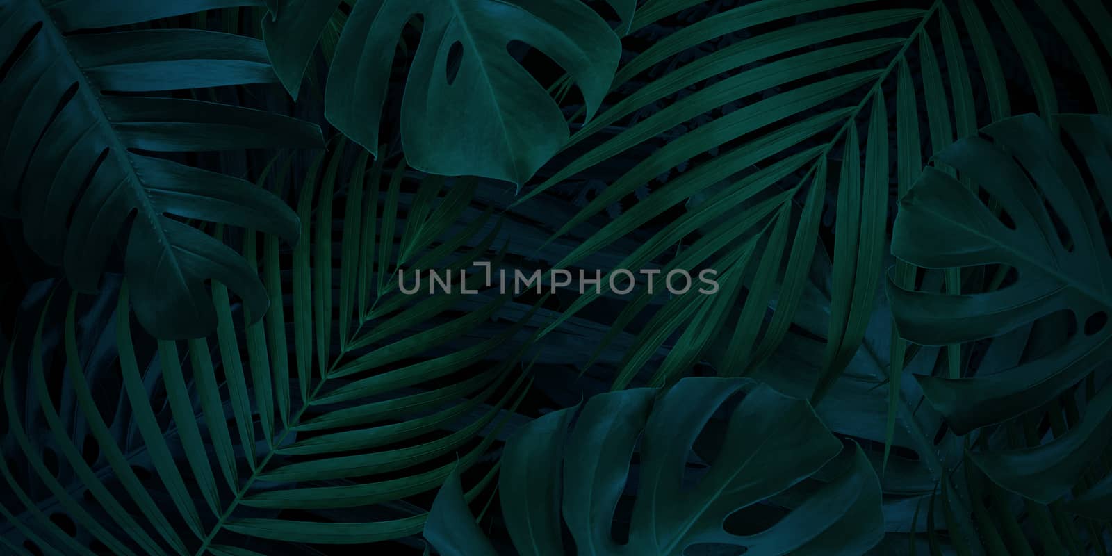Tropical leaves background with copy space by Myimagine