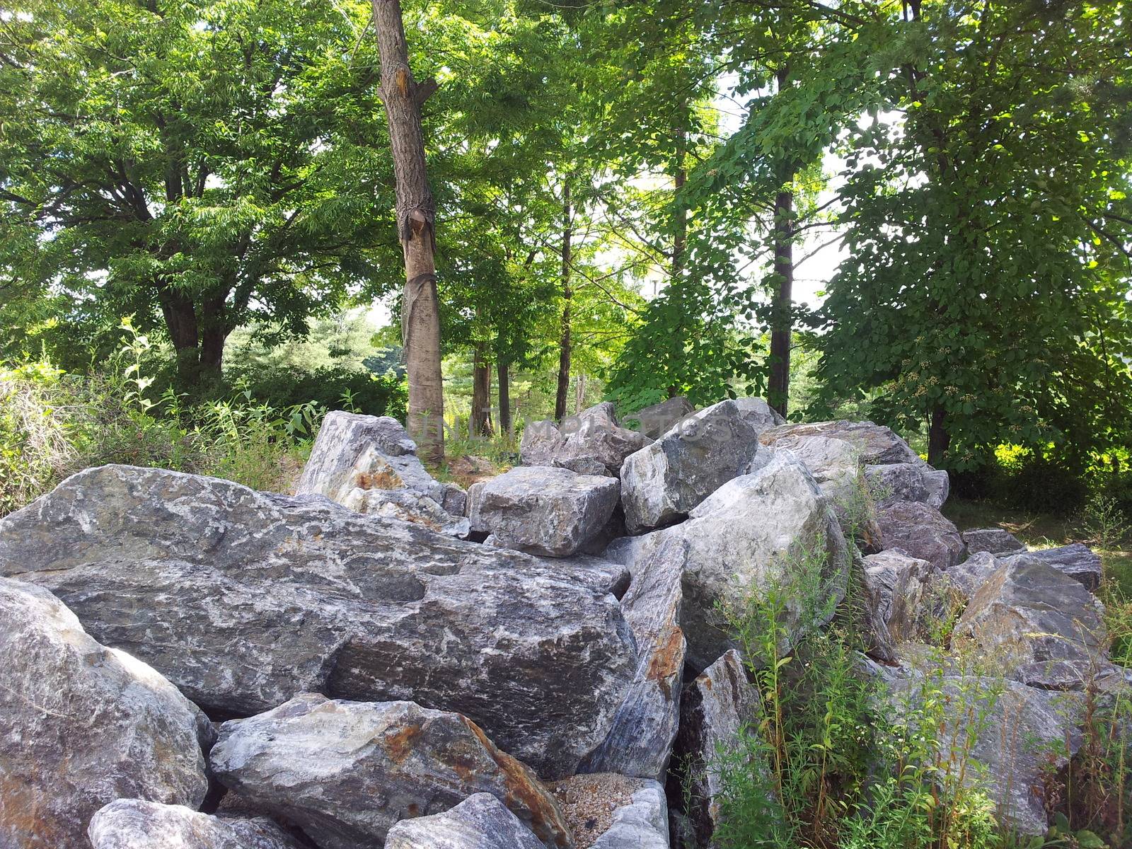 Large stones or rock settled in between green trees in a public park by Photochowk