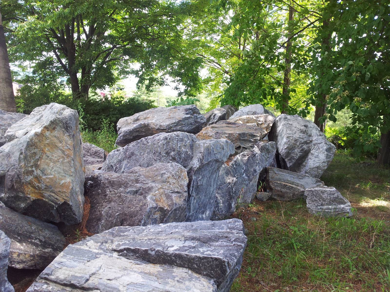 Large stones or rock settled in between green trees in a public park by Photochowk