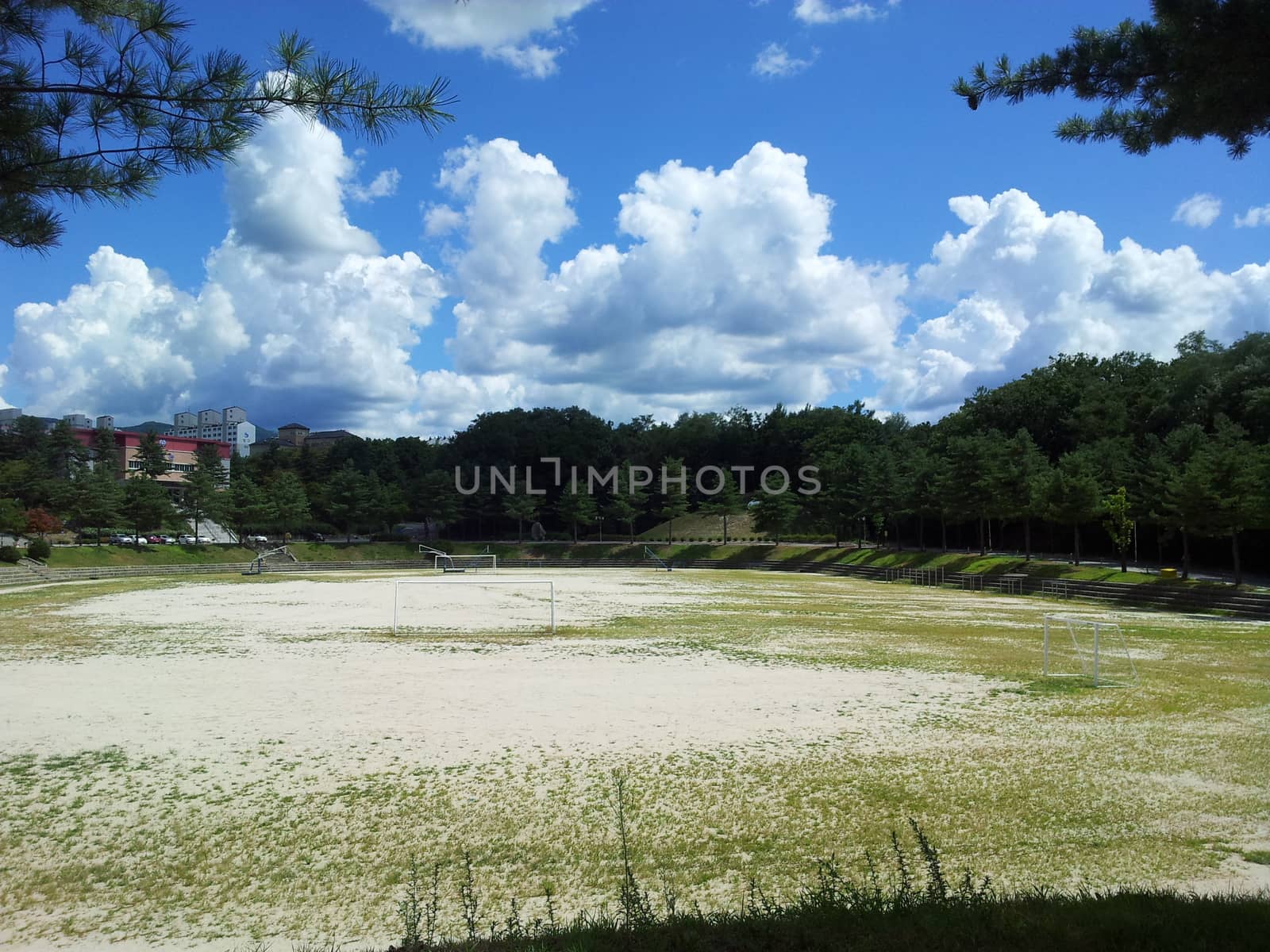 Green trees in park in autumn season by Photochowk