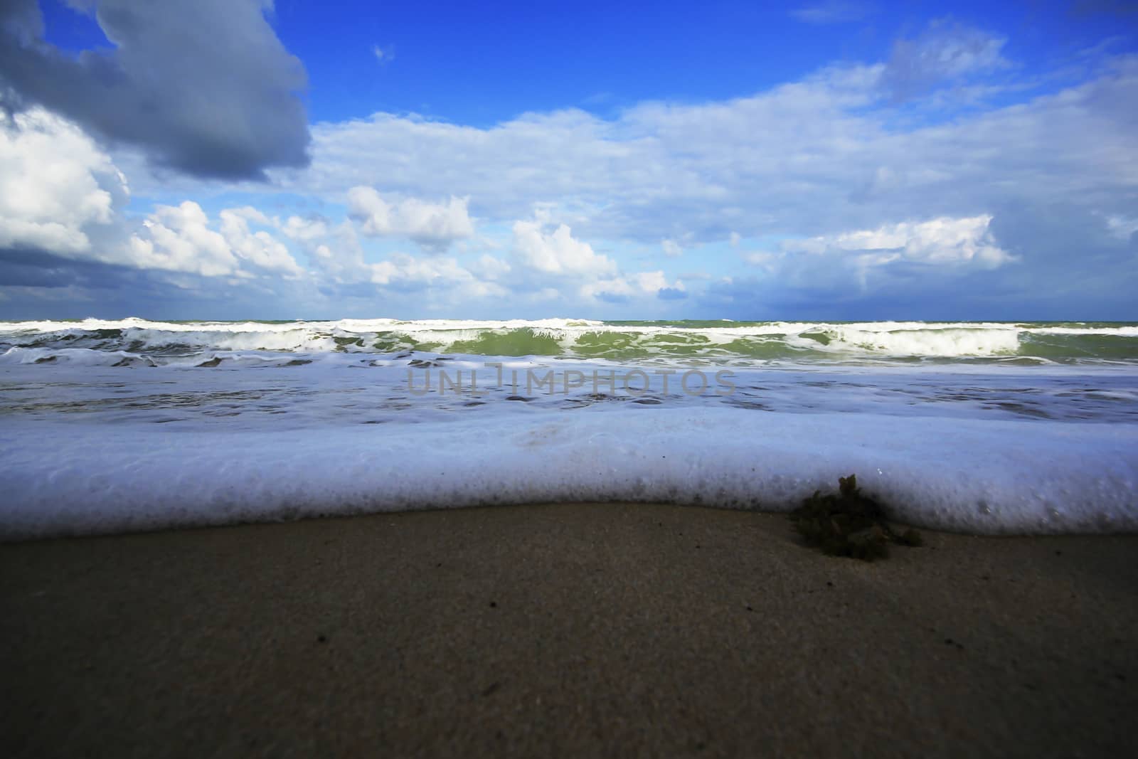 Bubbles and shells on the beach. by Puripatt