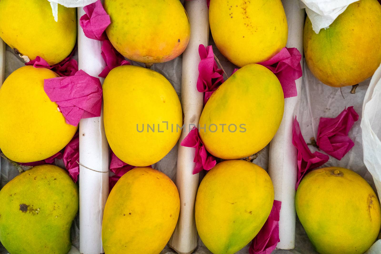 shot of ripe yellow green mangoes placed on white paper and covered with think pink butter paper ready to sell and serve by Shalinimathur