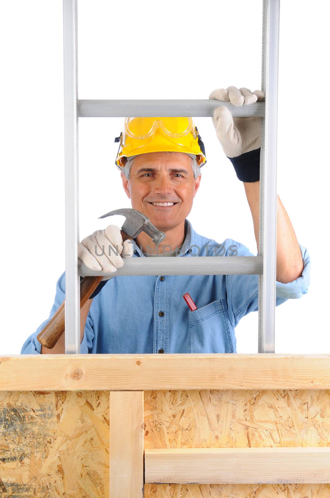 Closeup of  a carpenter climbing a ladder isolated over white. The man wearing a work shirt, jeans, gloves is holding a hammer and is partially hidden behind a wood framed wall. Vertical Format.