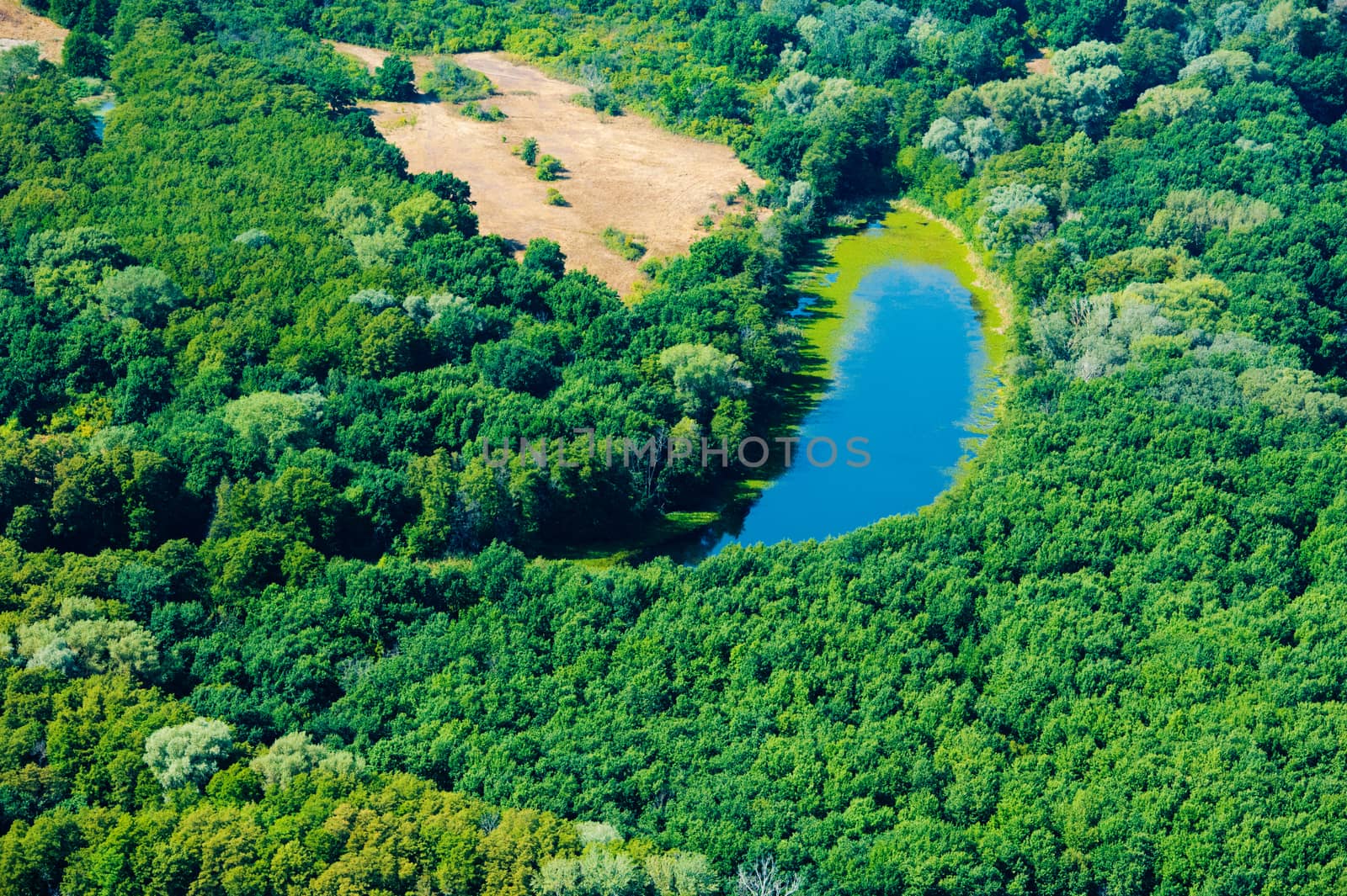 Aerial view of forest during by grigorenko