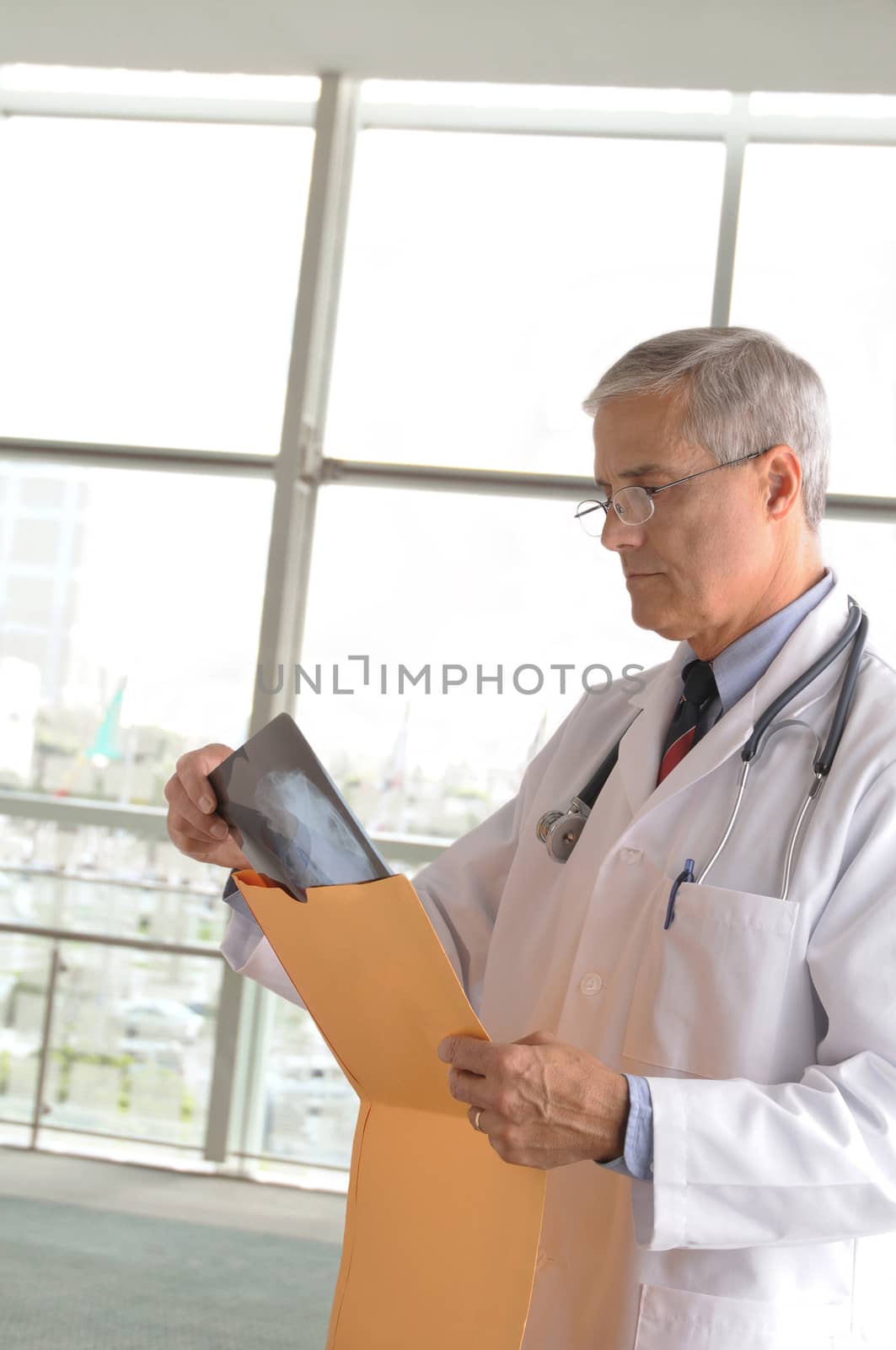 Middle aged doctor wearing lab coat looking at an xray in modern medical facility