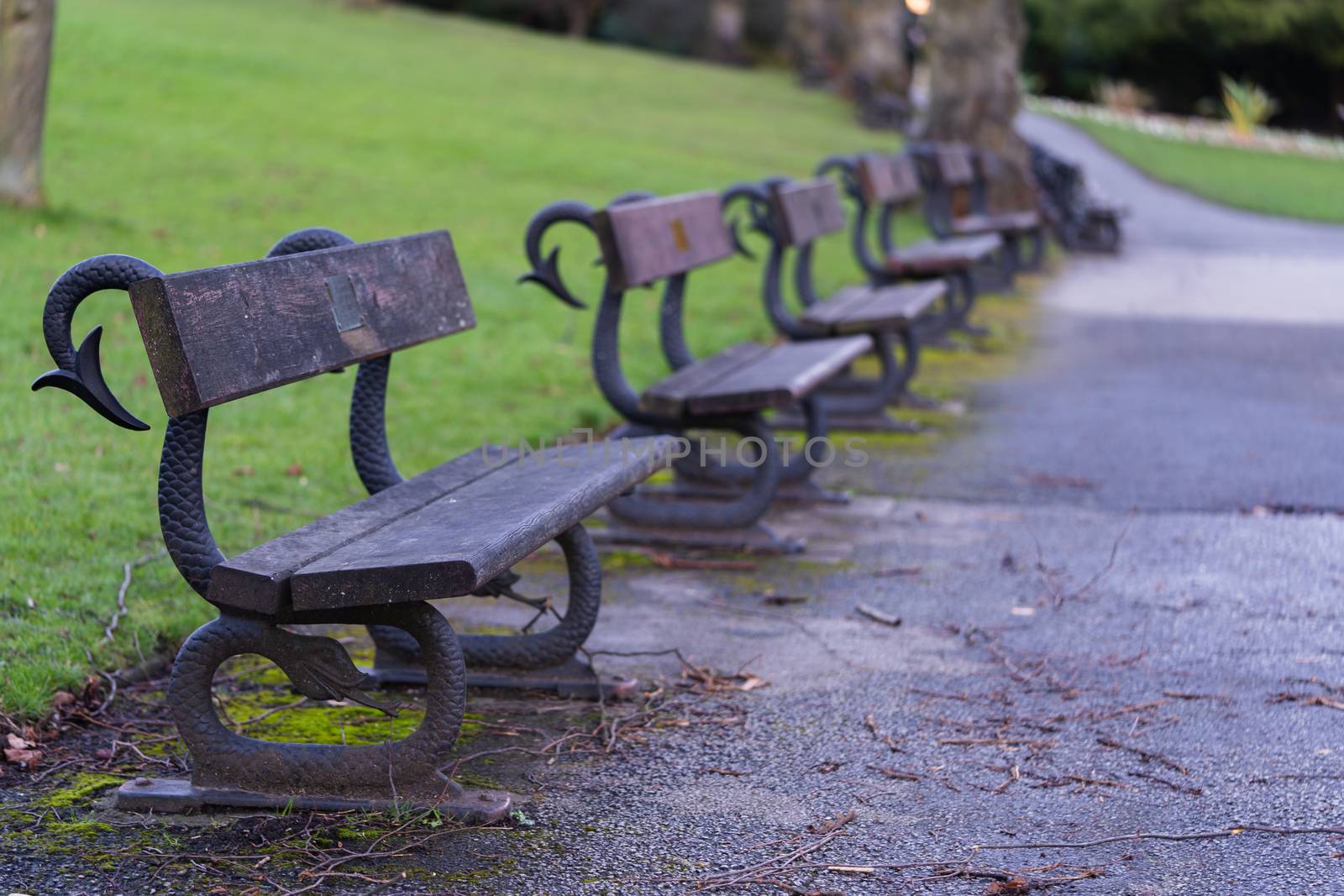 Traditional wooden park benches in a local park in England