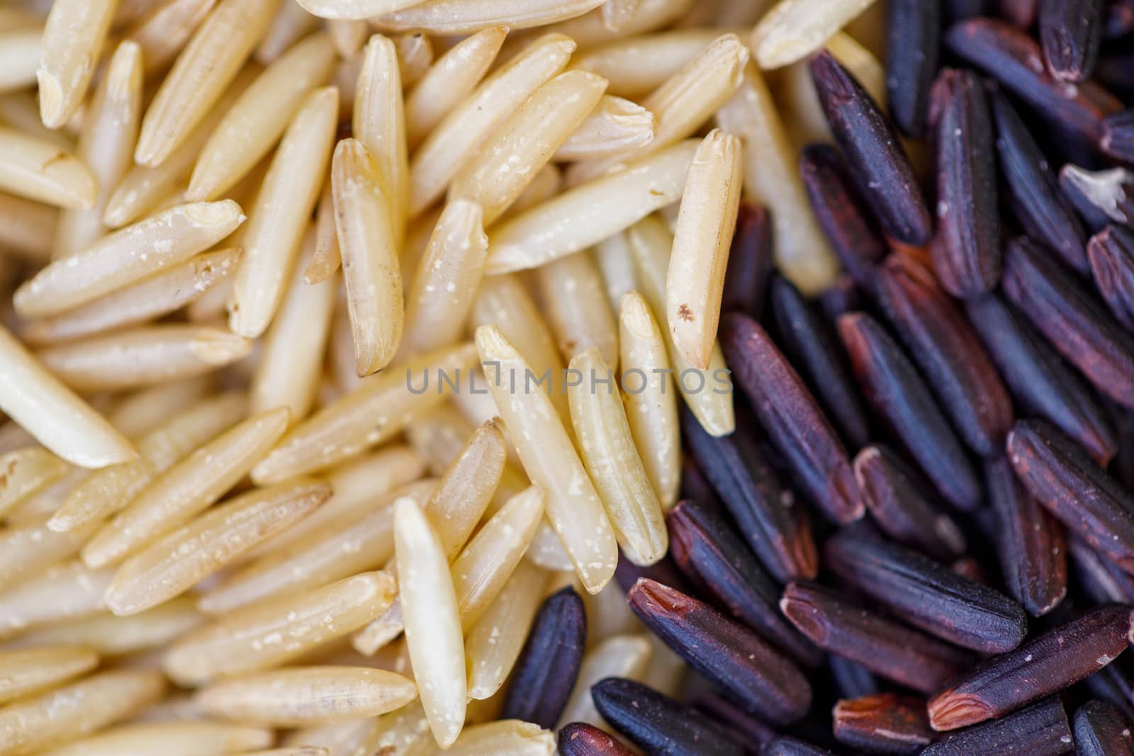 Macro close-up of black wild rice and brown wild rice flat lay. Creative layout. Food concept