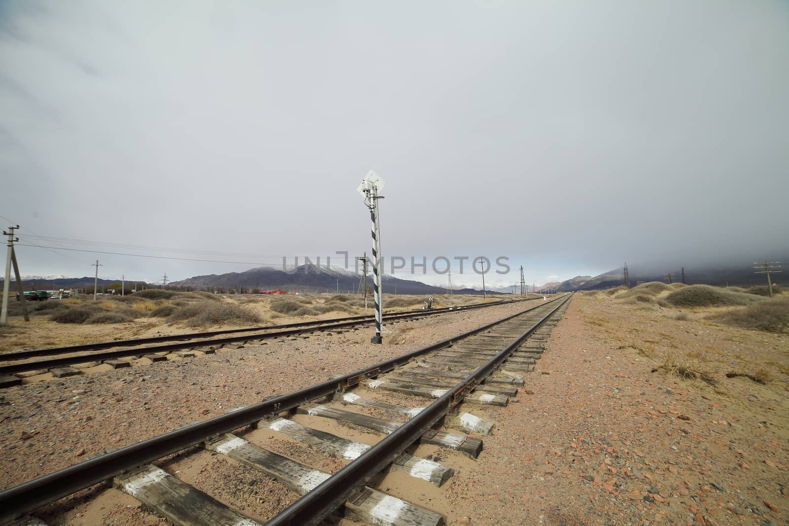 Railway to the mountains. Wildlife of Kyrgyzstan. High quality photo
