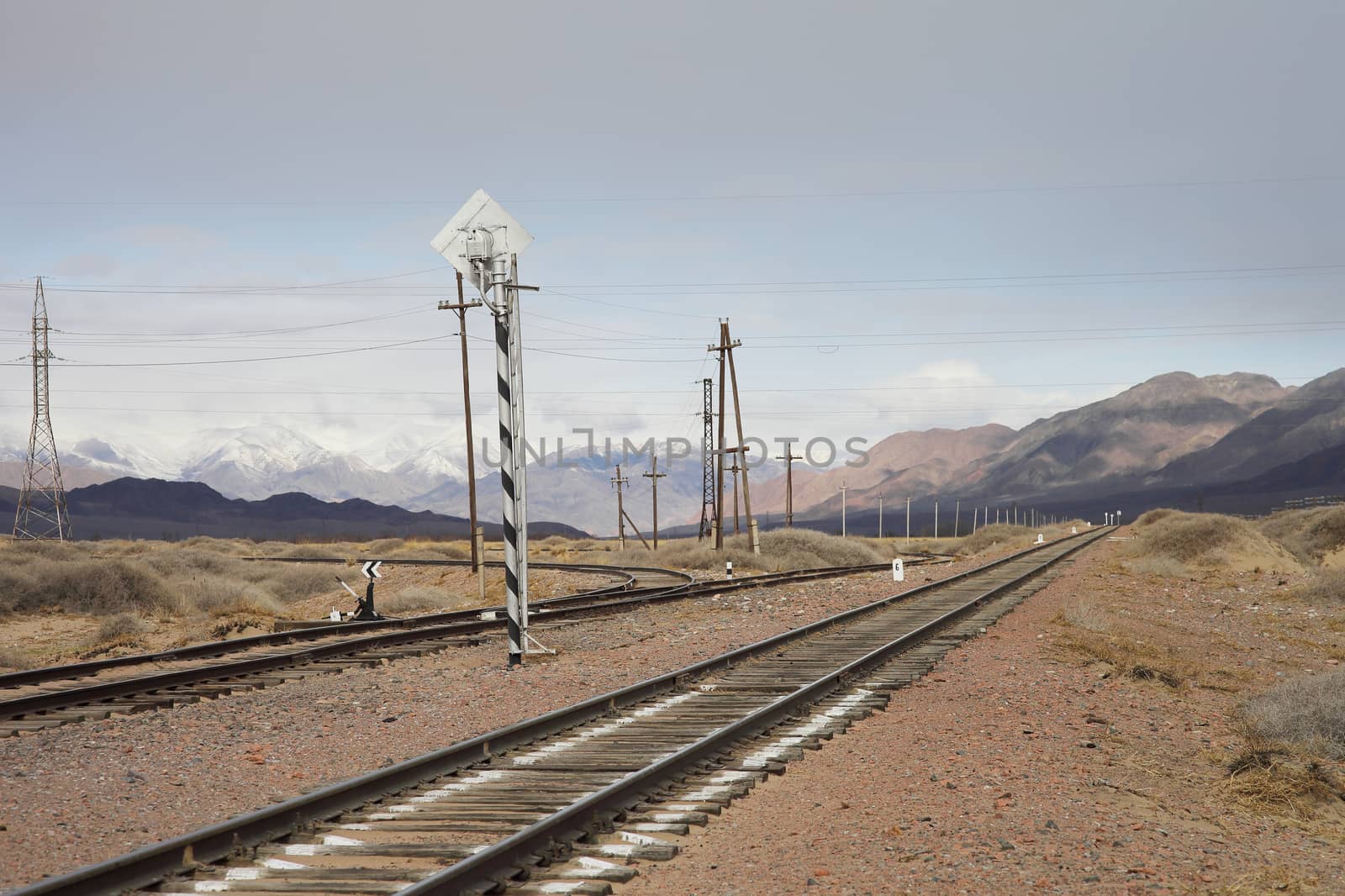 Railway to the mountains. Wildlife of Kyrgyzstan. by selinsmo