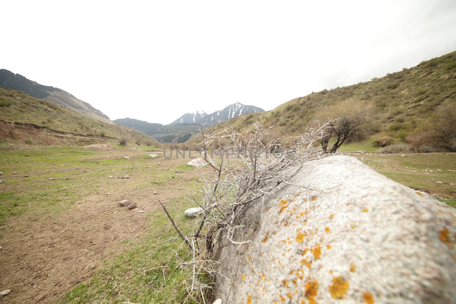 Beautiful mountain landscape. Wildlife Kyrgyzstan. Clouds in the sky. Kyrgyzstan. High quality photo