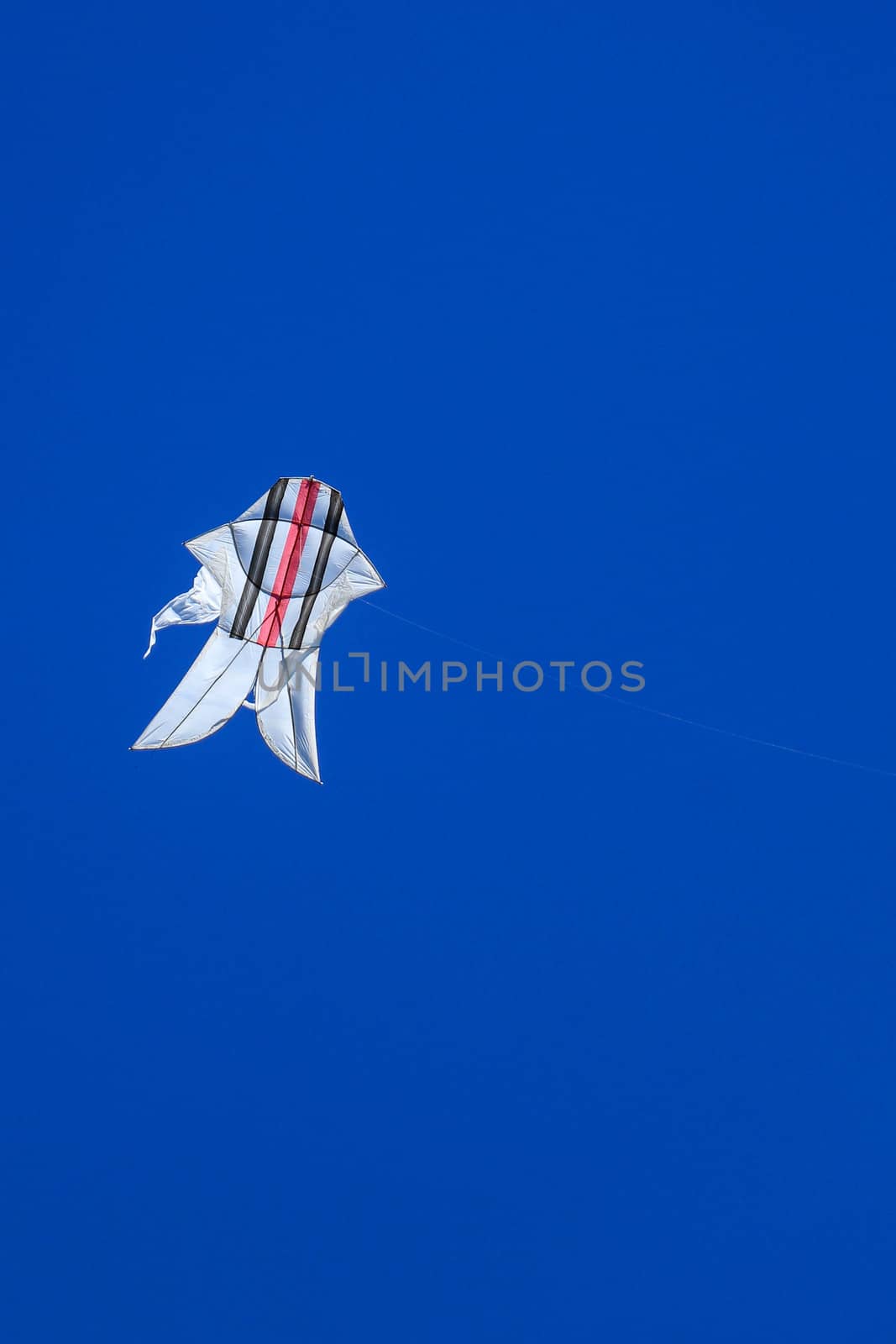 The Balinese white kite with colored strips flies against the blue sky. Blue sky is the perfect background for kites. space for your text.