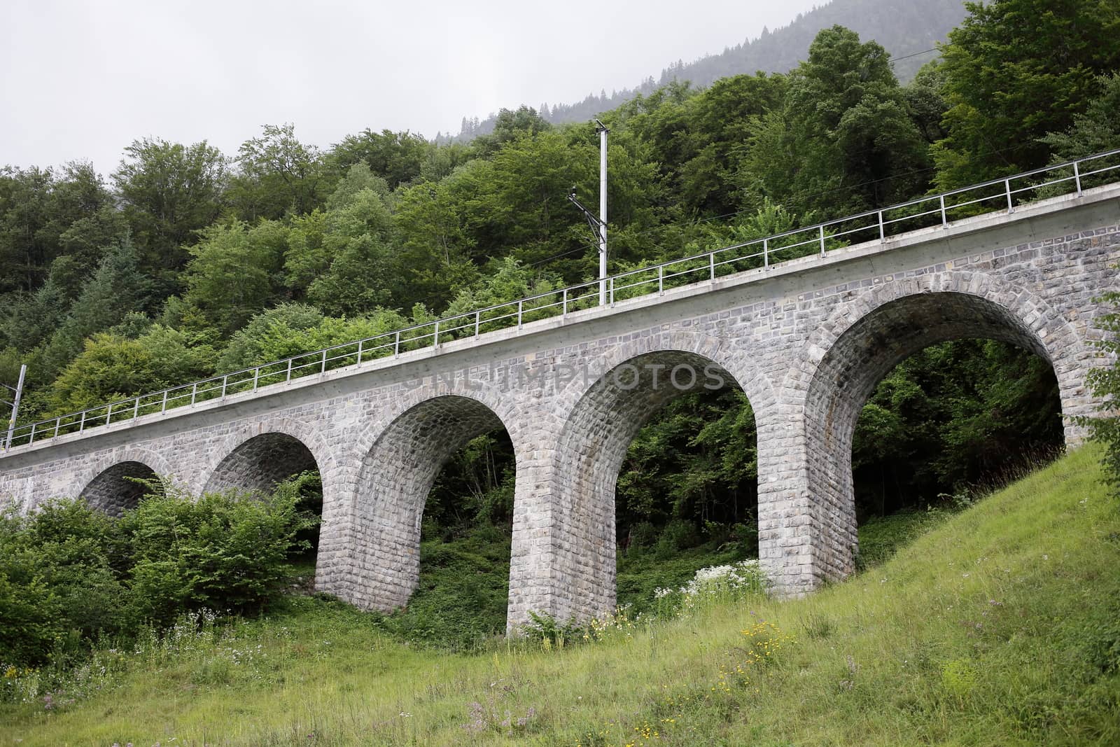 A beautiful road bridge with arches is surrounded by greenery. High quality photo