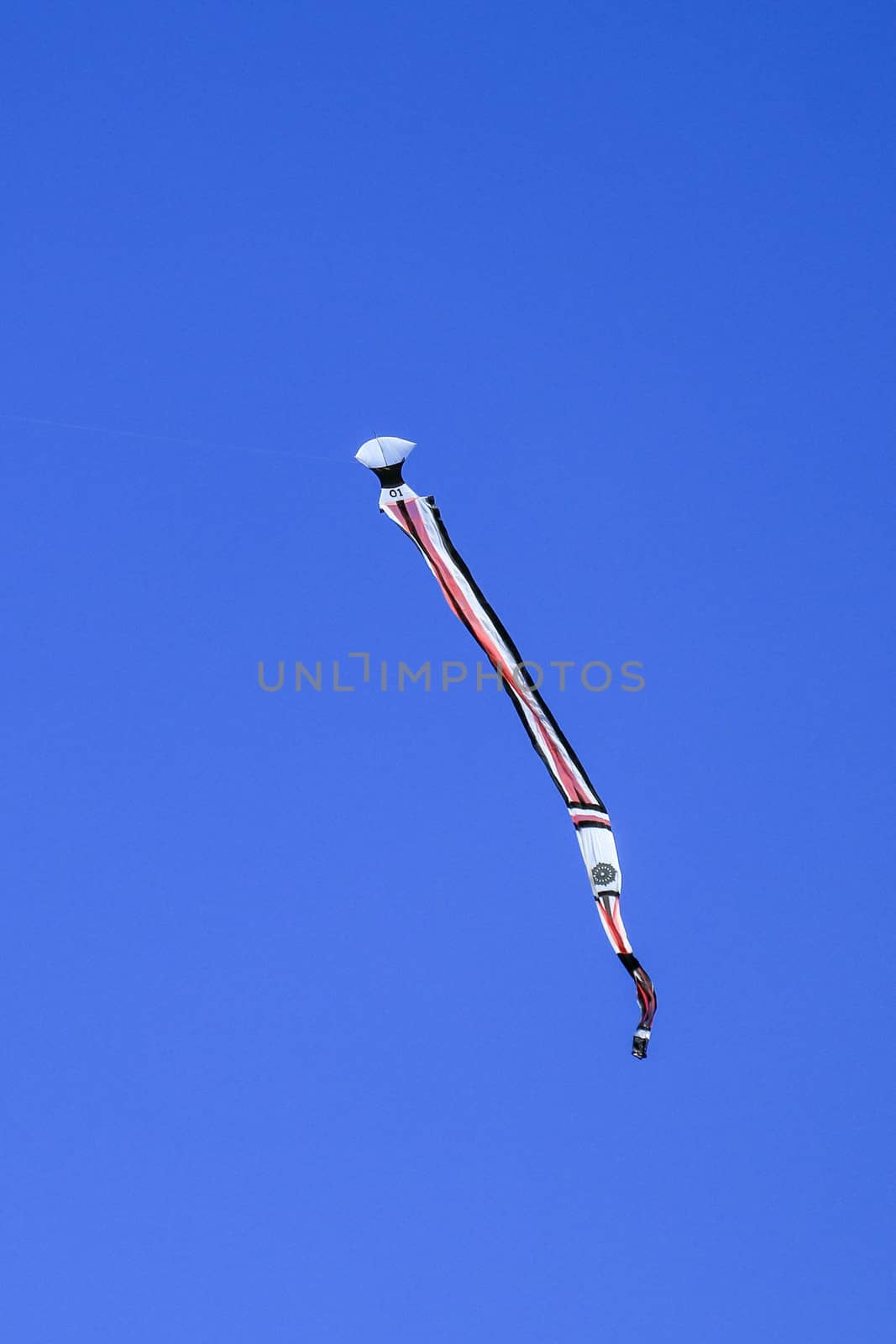 kite long tailfly on blue sky. The colorful kite on the blue sky without clouds. Space for text.