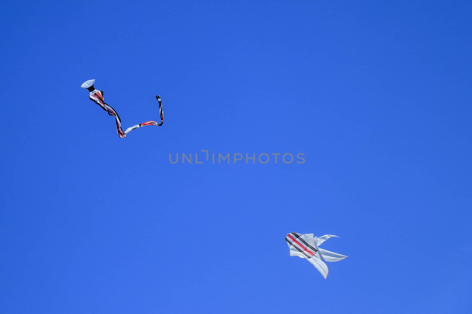 Traditional balinese Kite. Balinese children play with kites.