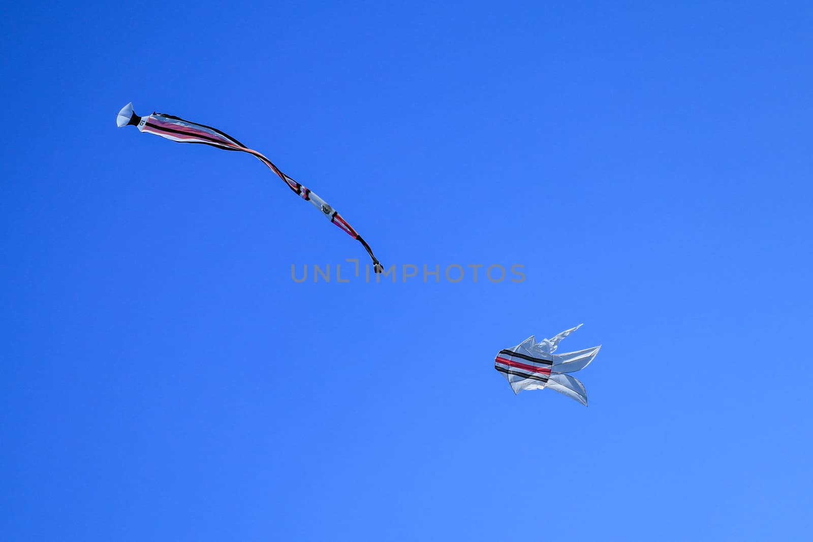Traditional balinese Kite. kite long tailfly on blue sky. The colorful kite on the blue sky without clouds.