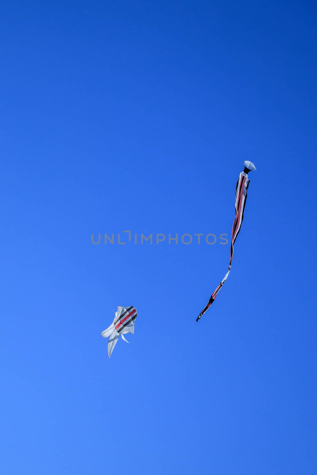 Traditional balinese Kite. kite long tailfly on blue sky. The colorful kite on the blue sky without clouds.