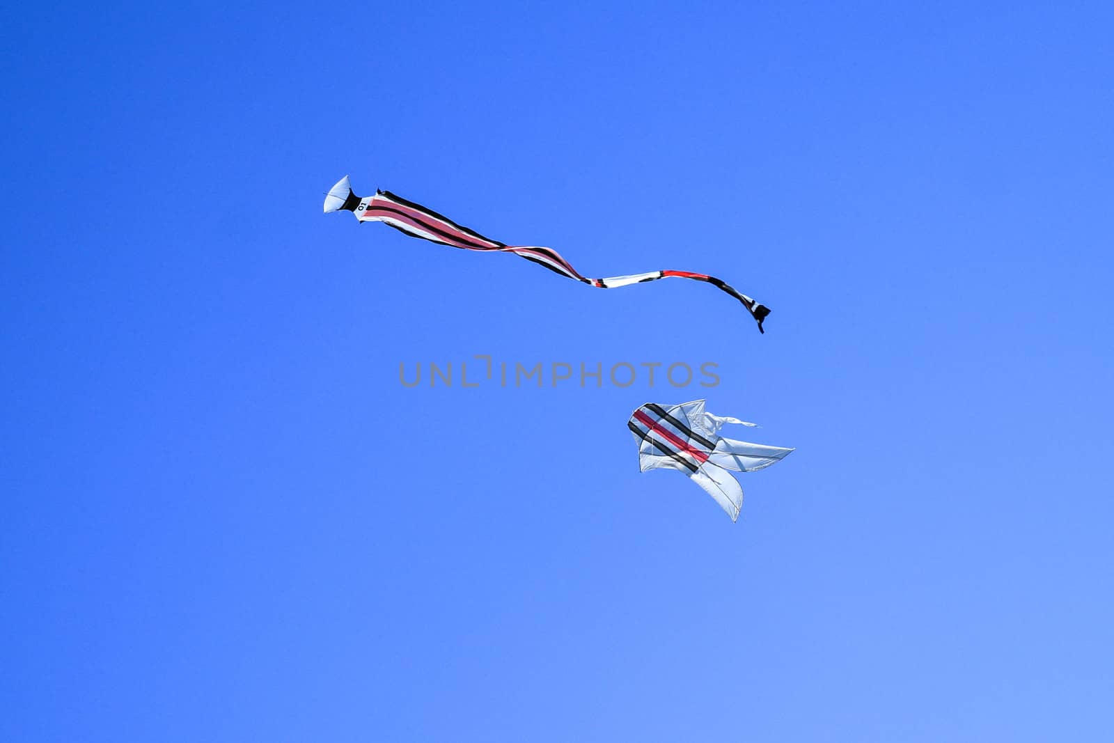 Traditional balinese Kite. kite long tailfly on blue sky. The colorful kite on the blue sky without clouds.