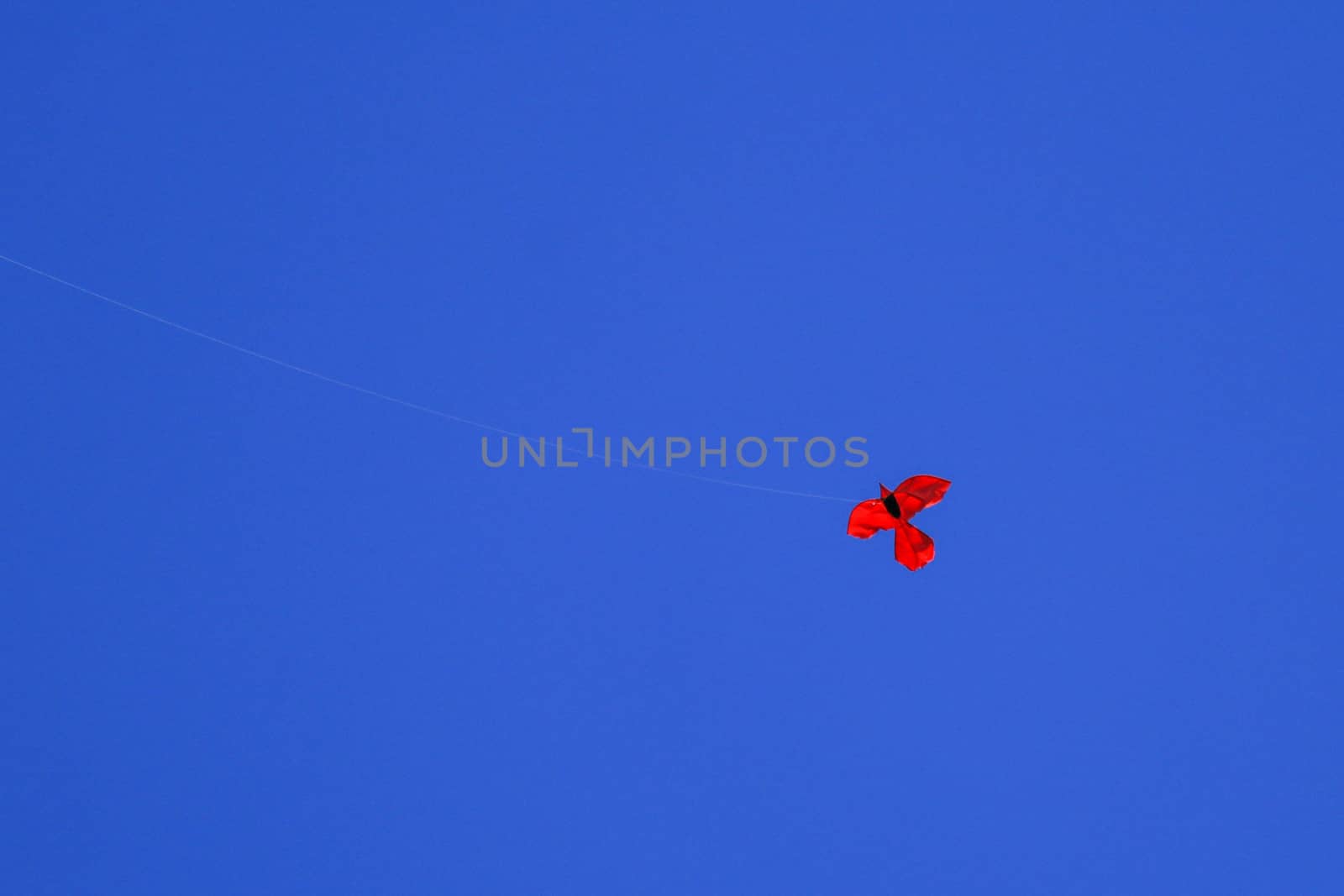 Kite on background of dark blue sky. Red kite on dark blue sky. Space for your text.