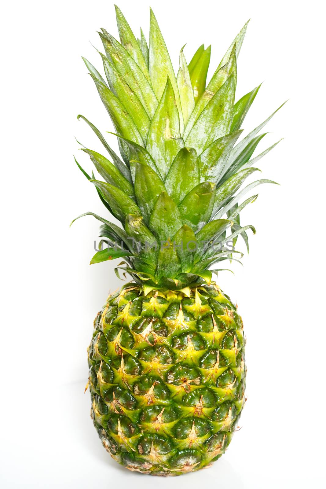 A whole pineapple against a plain white background