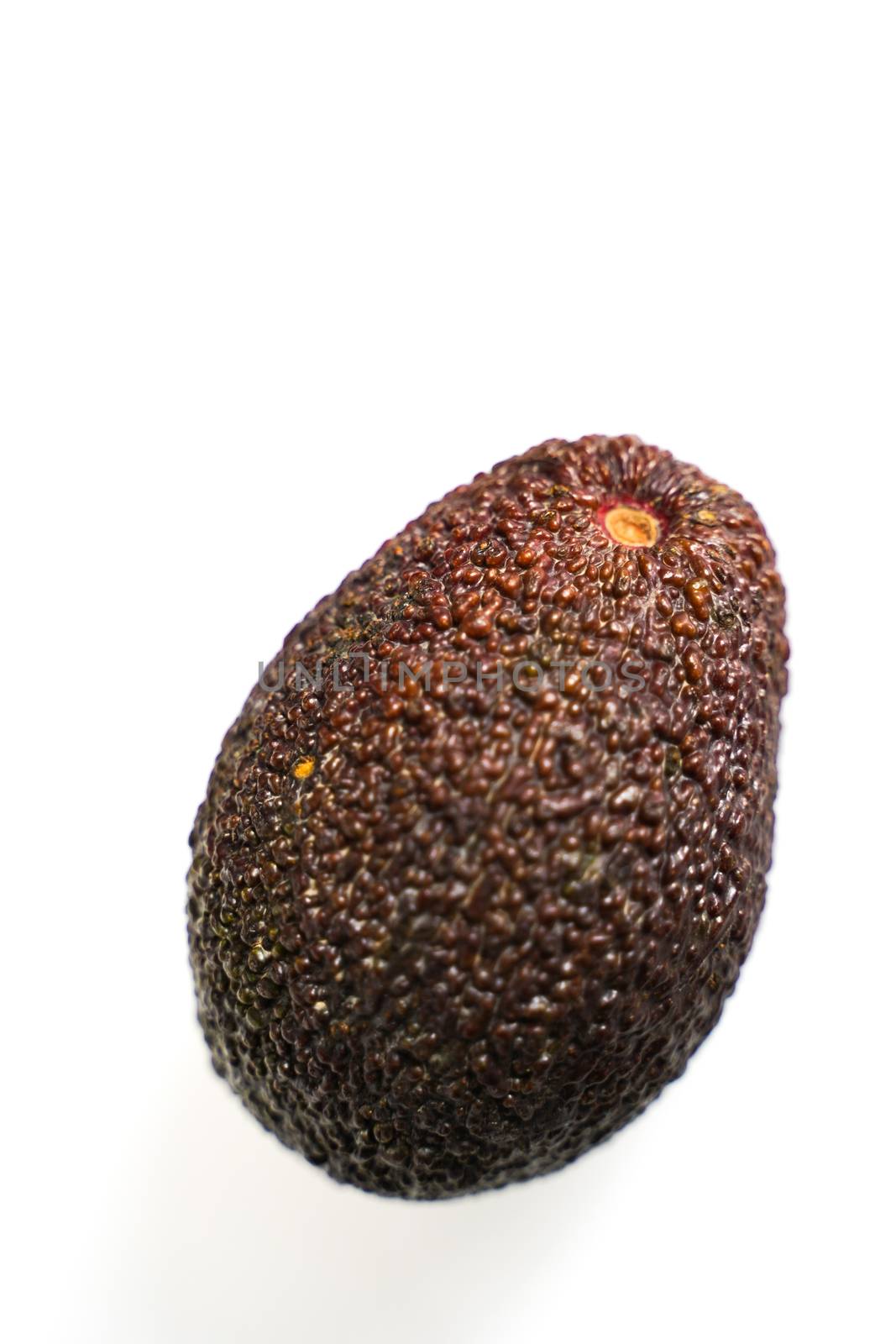 A whole avocado against a plain white background