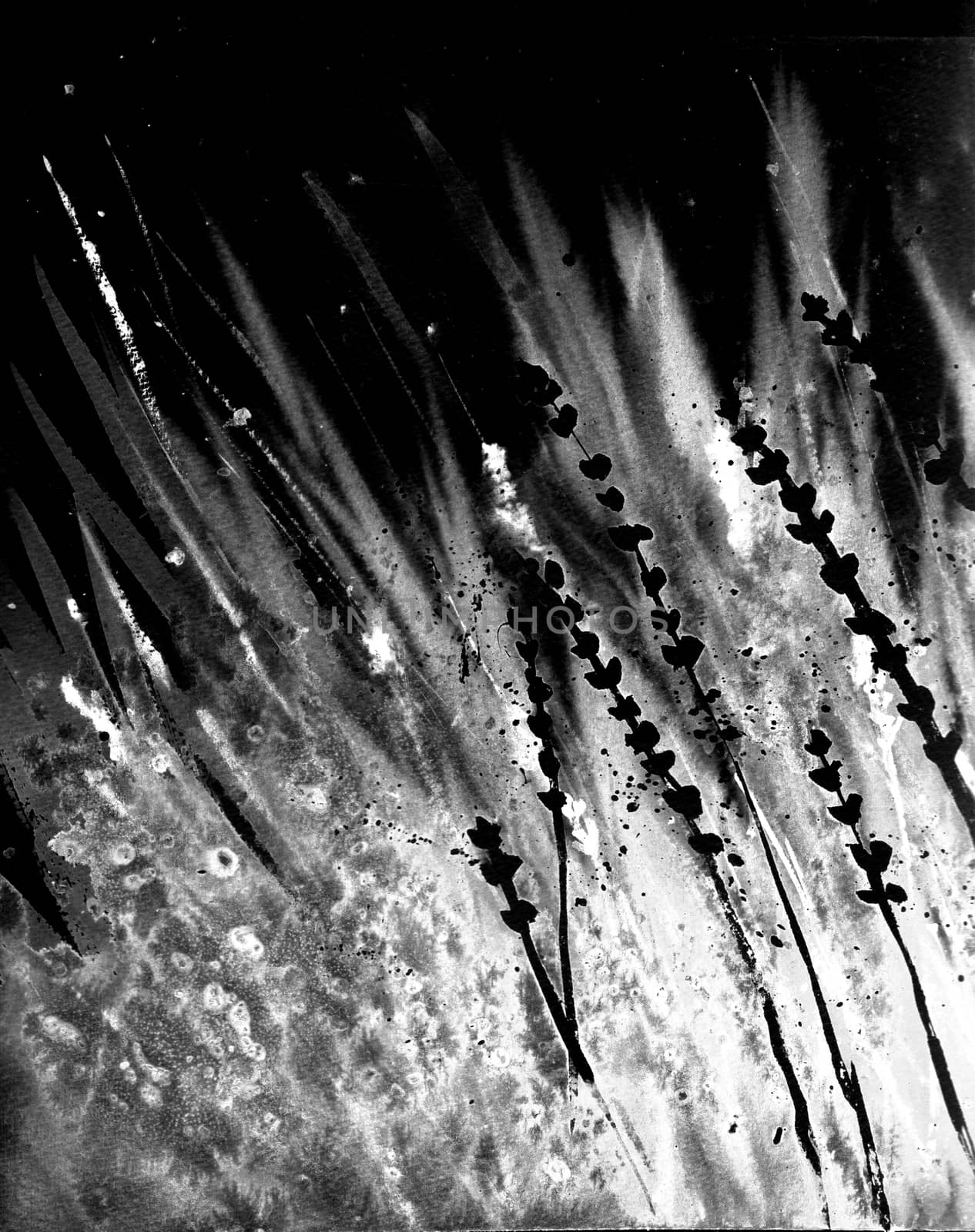 Abstract grass in the wind. Gray, black and white colors. Monochrome background by sshisshka