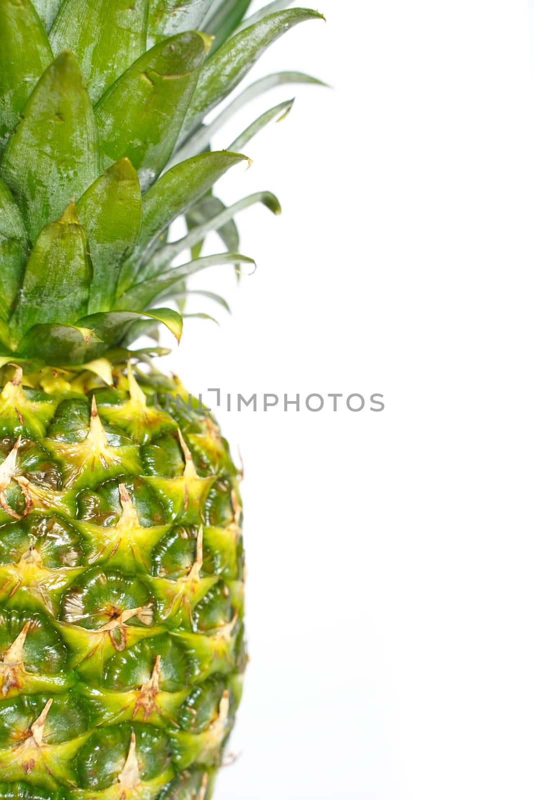 A whole pineapple against a plain white background