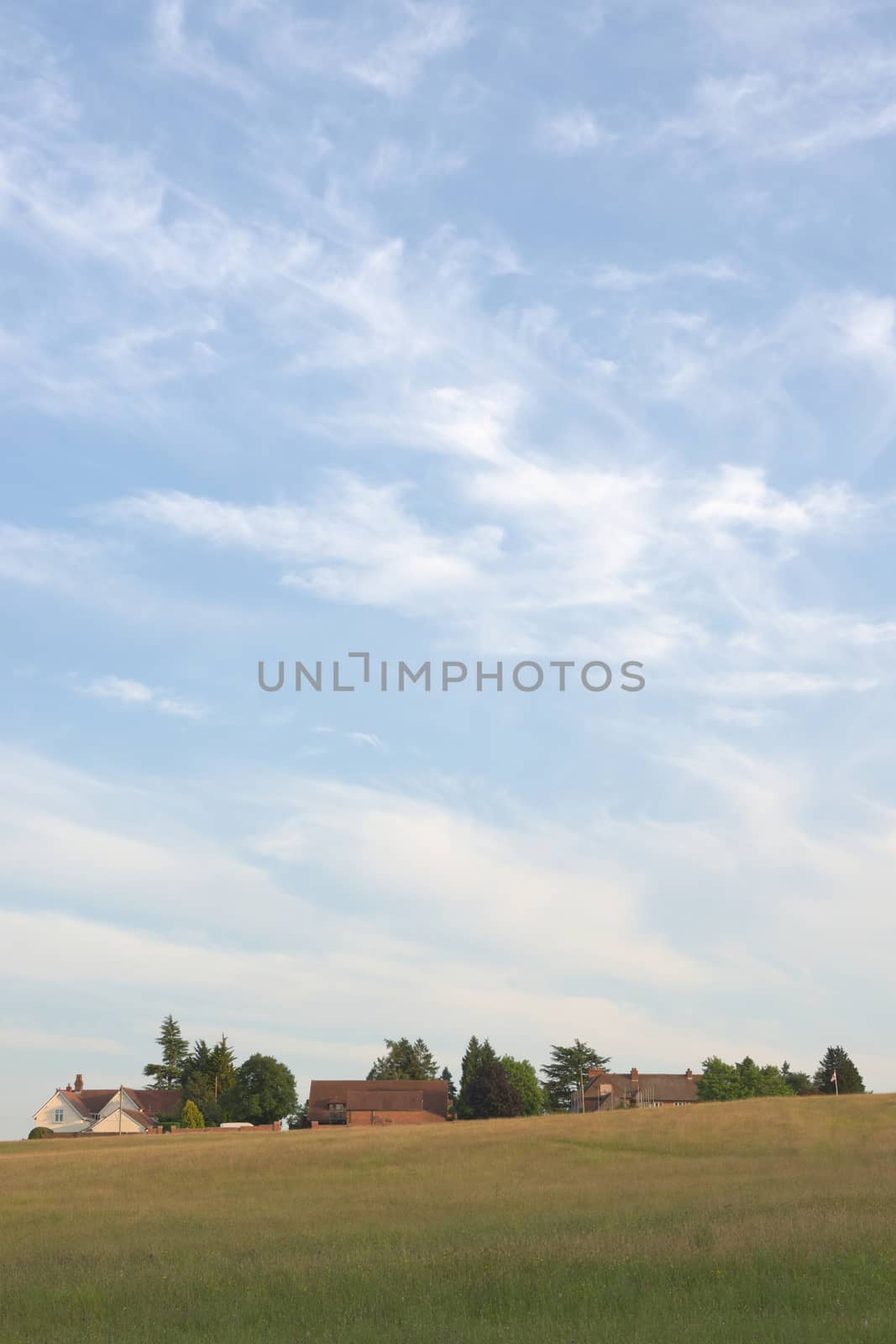 Wispy summer clouds and a blue sky float over a meadow, trees and rural houses.