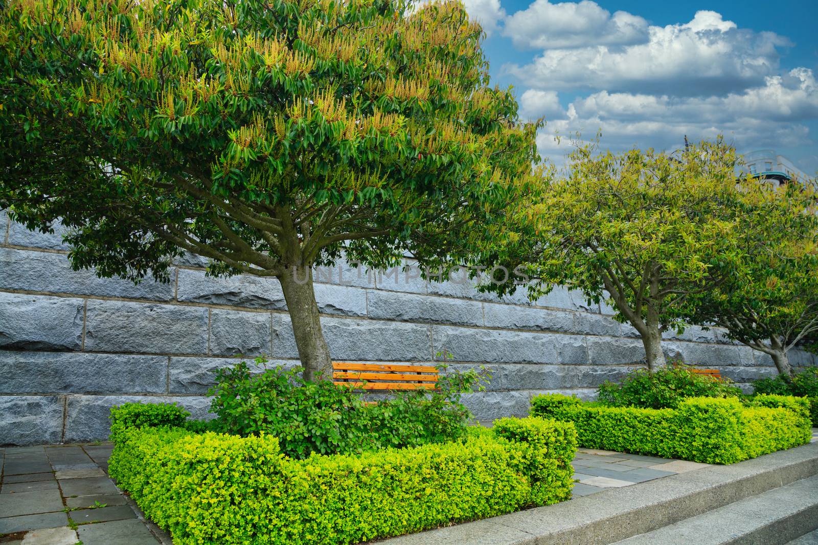 Bench in Victoria Park by Harbor