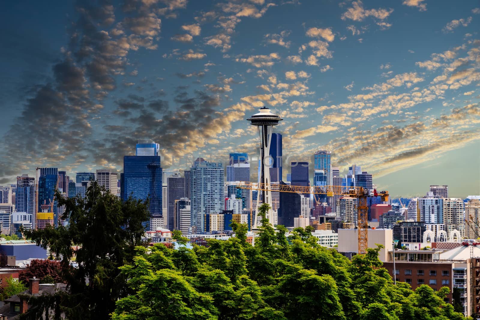 Seattle Beyond Trees at Dusk by dbvirago