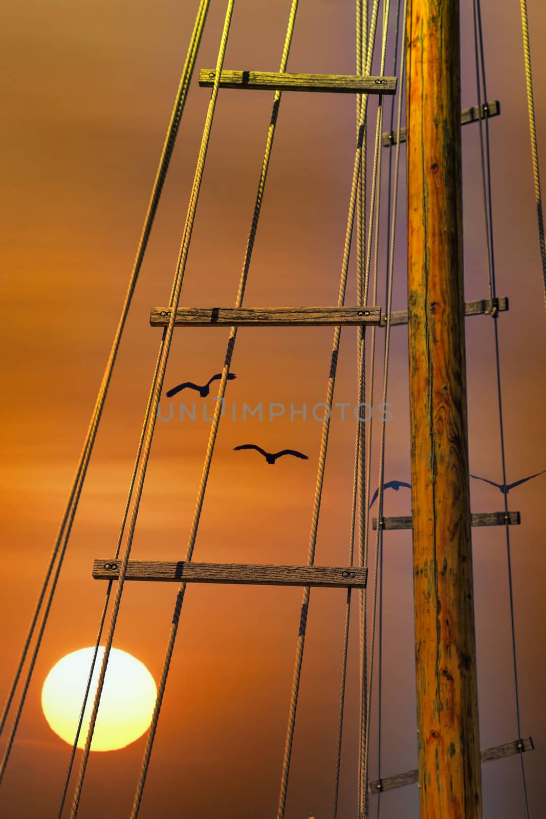 Sunset Past Mast and Rigging by dbvirago