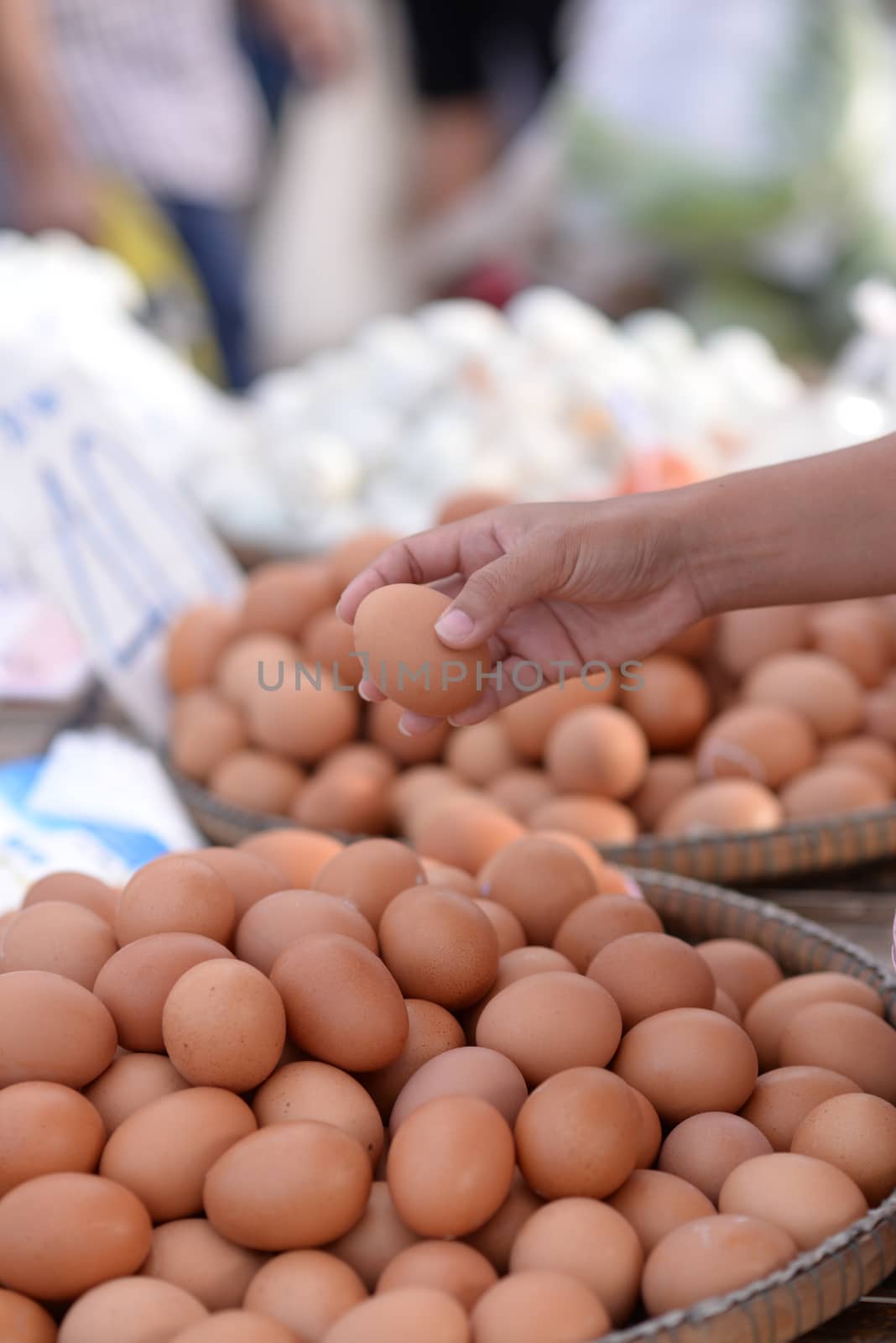 A woman's hand is holding a egg And have a blurry eggs in the background