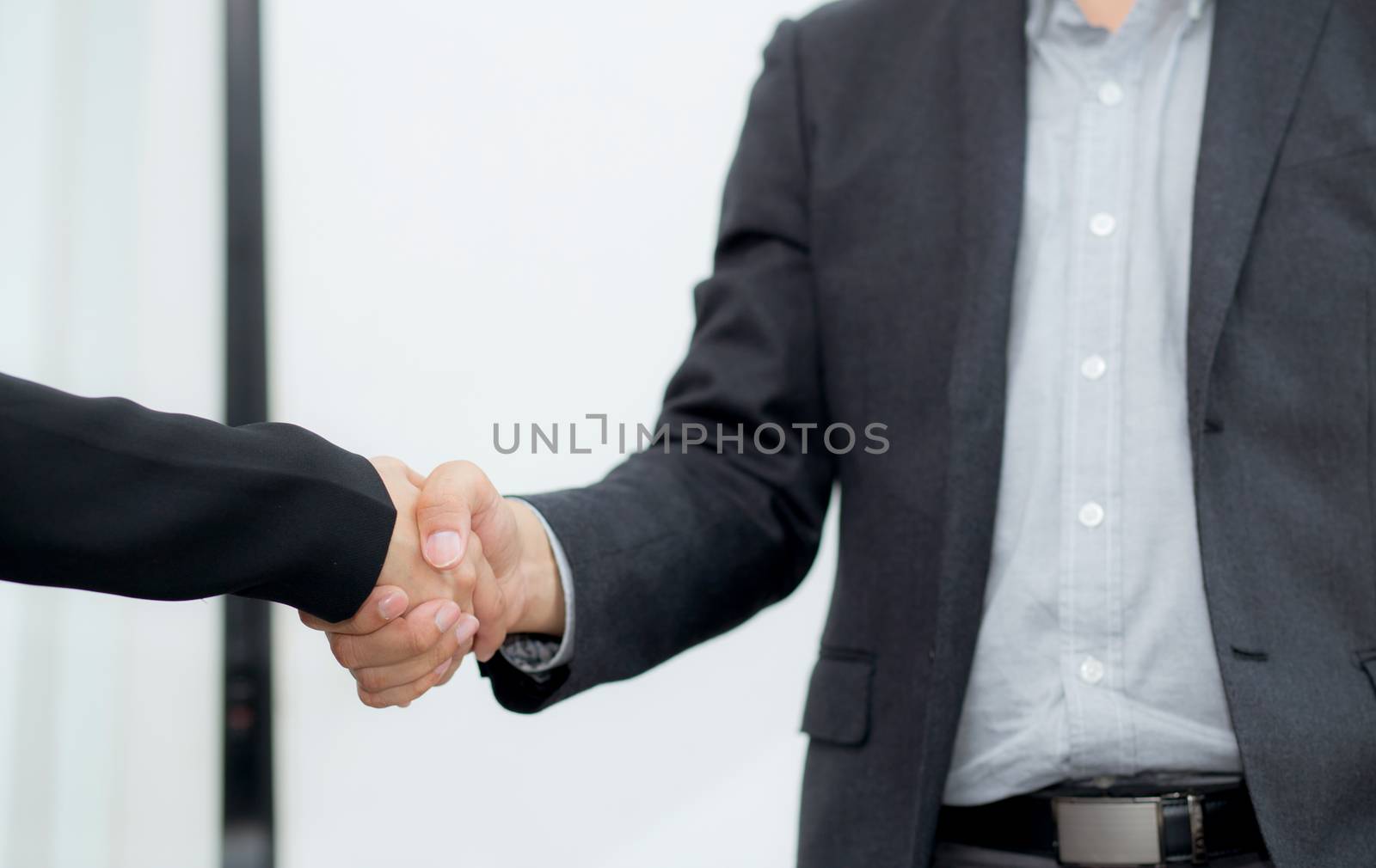 Closeup shot of a two business people shaking hands - Handshake Greeting Deal Concept