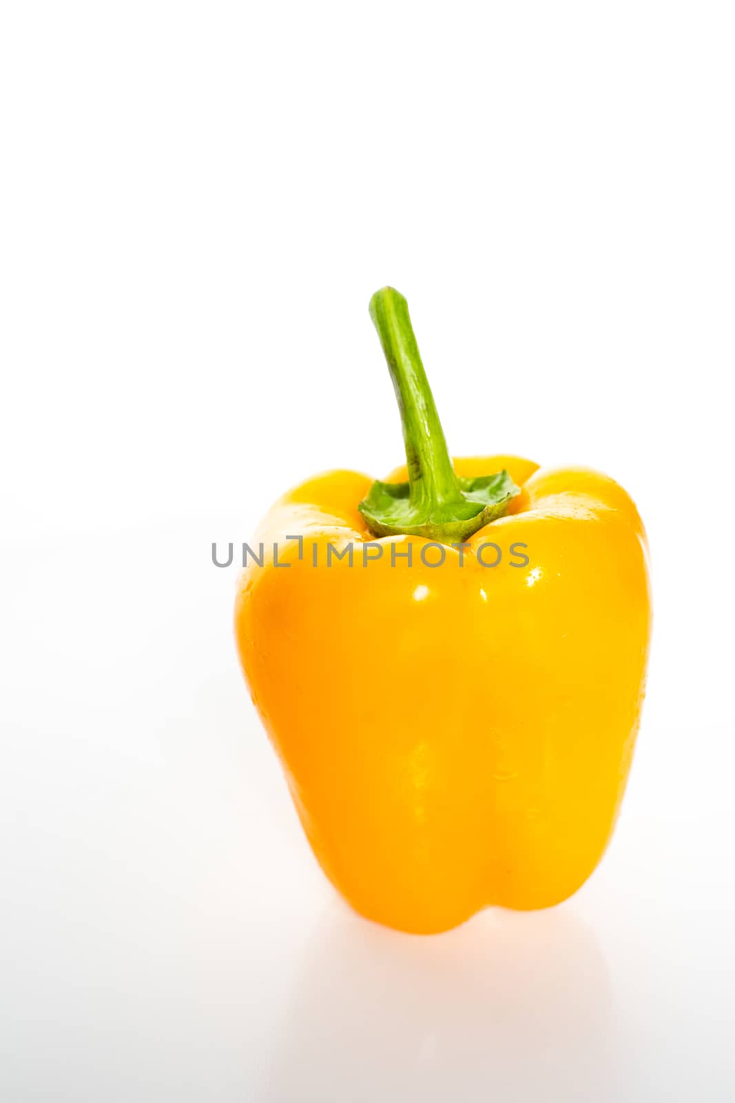 A whole yellow pepper against a plain whit background