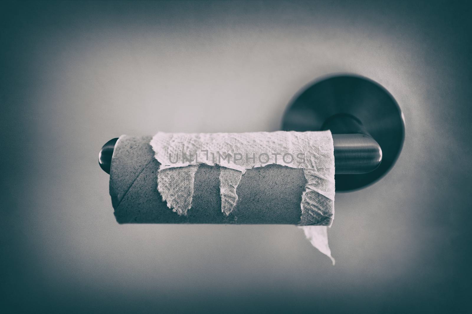 Toilet paper roll empty. by Maridav