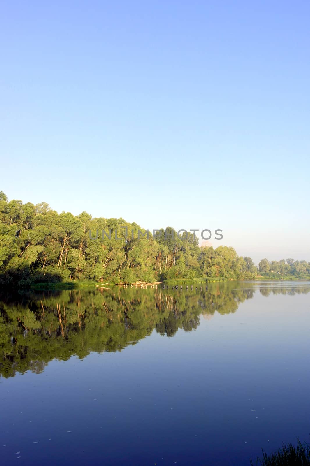 Beautiful summer landscape with river and forest