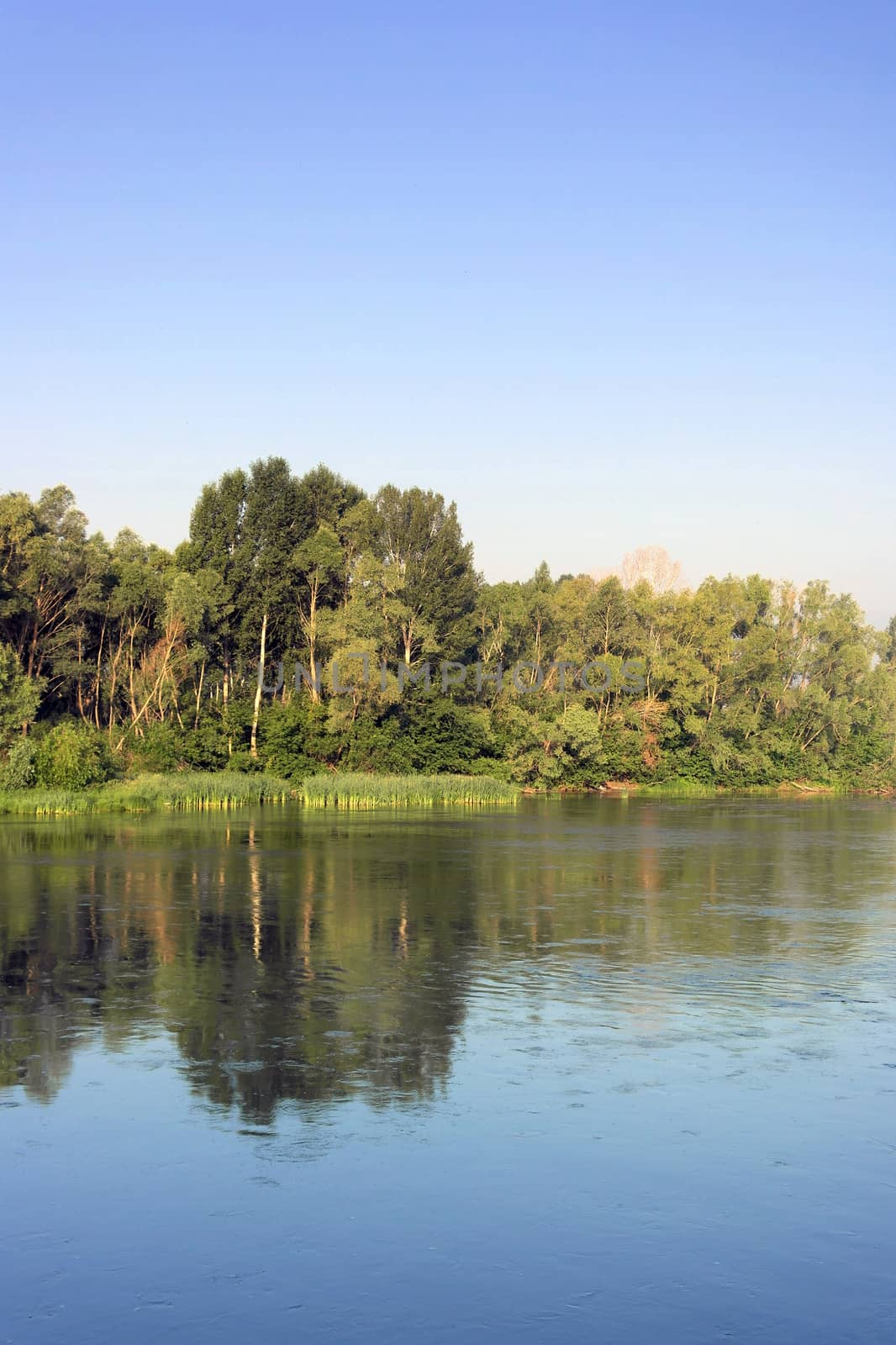 Beautiful summer landscape with river and forest