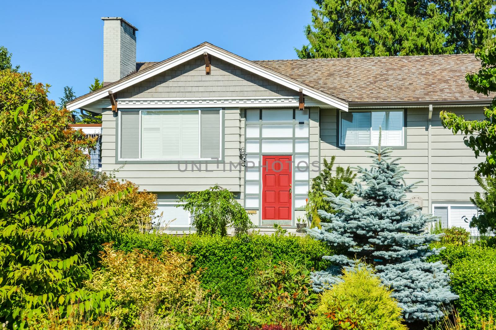 Family house with red entrance door immersed in the green.